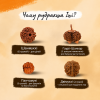 ChatGPT Image 19 лип. 2026 р., 20_23_22.png