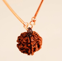 Адиоги Рудракша(пятигранная) с медной цепью (коротким).