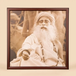 Фотография Садхгуру (20x20). Деревянная отделка.