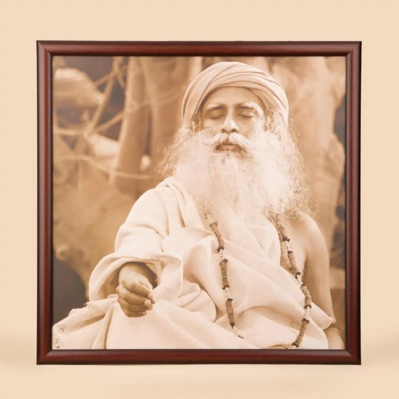 Фотография Садхгуру (20x20). Деревянная отделка.